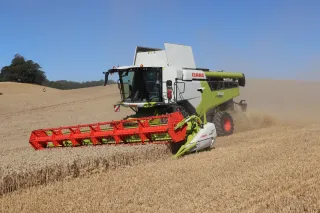 Sklízecí mlátička Claas Lexion při sklizni obilí