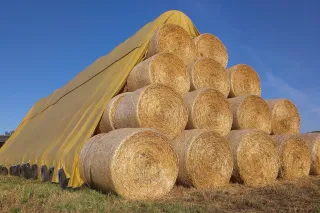 Stoh válcových balíků slámy částečně přikrytý ochrannou plachtou.