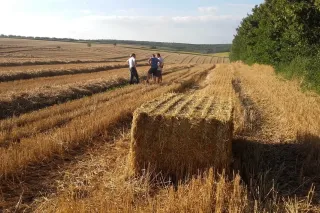 Válcový balík slámy na sklizeném poli s dvěma lidmi v pozadí.
