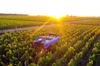 Autonomní robot VitiBot Bakus projíždí vinicí při západu slunce.