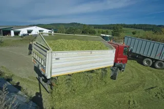 Nákladní vůz s korbou plnou zelené hmoty na travnaté ploše.