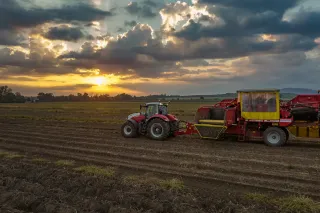 Traktor Steyr s bramborovým kombajnem při sklizni za západu slunce.
