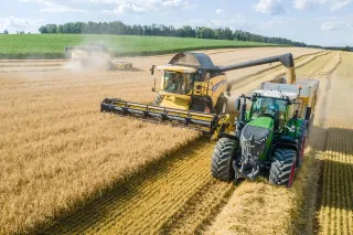 Sklízecí mlátička New Holland vykládá obilí do přívěsu za traktorem.