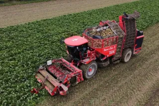 Červený sklízeč řepy Holmer Terra Dos 5 při sklizni.