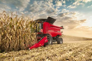 Červená sklízecí mlátička Case IH Axial-Flow při sklizni kukuřice.