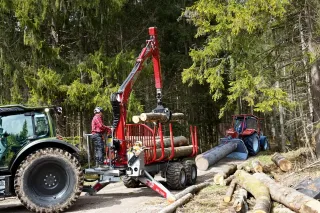 Traktor s vyvážecím vlekem a hydraulickou rukou při nakládání dřeva v lese.