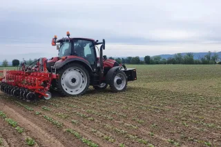 Traktor s červeným meziřádkovým kultivátorem Einböck CHOPSTAR na poli.