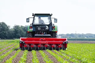 Traktor s meziřádkovým kypřičem Lemken v porostu.