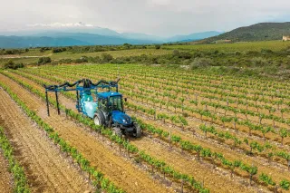 Modrý úzkorozchodný traktor New Holland mezi řádky vinice.