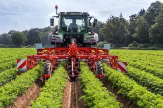 Traktor s meziřádkovou plečkou Steketee v porostu brambor.