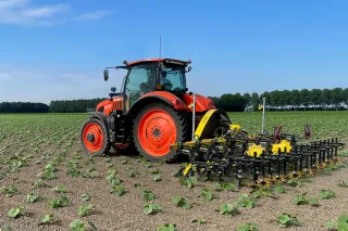 Oranžový traktor s meziřádkovou plečkou na poli.