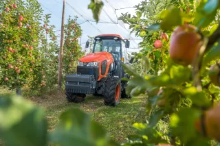 Oranžový úzkorozchodný traktor Kubota v jabloňovém sadu.