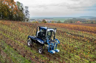 Modrý úzkorozchodný traktor ve vinici