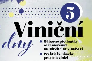 Grafická pozvánka na Viniční dny