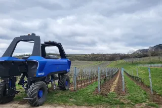 Modrý autonomní robot VitiBot Bakus ve vinici.