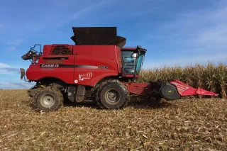 Červená sklízecí mlátička Case IH při sklizni kukuřice