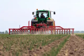 Traktor s červeným plecím strojem při práci na poli