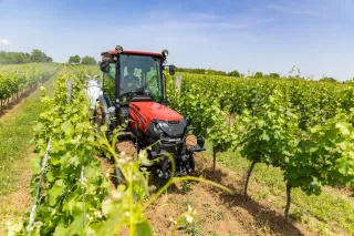 Traktor Case IH Quantum pracuje mezi řádky vinice
