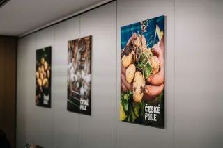 Plakáty iniciativy České pole s vyobrazením zemědělských plodin
