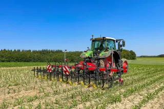 Zelený traktor s meziřádkovým kultivátorem na poli s mladou kukuřicí