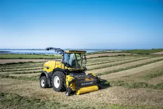 Žlutá sklízecí řezačka New Holland při práci na poli