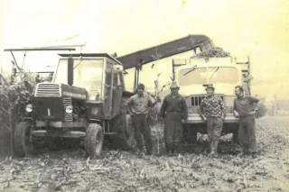 Historický snímek traktoru, nákladního auta a pracovníků při sklizni kukuřice