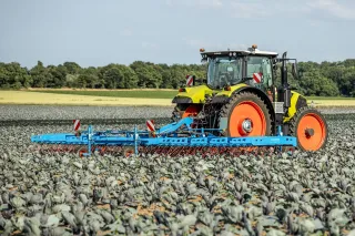 Traktor Claas s prutovými branami Lemken Thulit v porostu