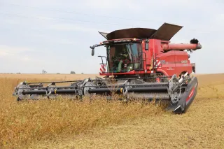Červená sklízecí mlátička Case IH Axial-Flow na poli