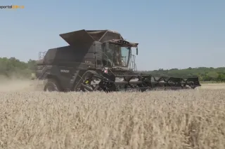 Černá sklízecí mlátička Fendt IDEAL 9T při sklizni obilí.