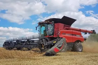Červená sklízecí mlátička Case IH při sklizni obilí
