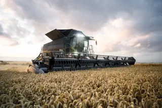 Sklízecí mlátička Massey Ferguson IDEAL při sklizni obilí