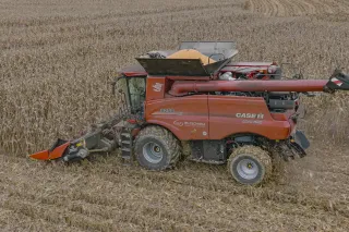 Kombajn Case IH Axial-Flow 8250 při sklizni kukuřice