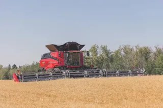 Červená sklízecí mlátička Case IH AF11 s širokým žacím adaptérem na poli