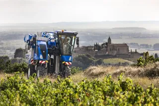 Modrý sklízeč hroznů New Holland Braud ve vinici.