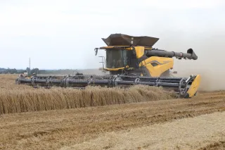 Žlutá sklízecí mlátička New Holland CR11 s širokým adaptérem MacDon při sklizni.