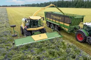 Sklízecí řezačka Krone plní vůz řezankou na poli.