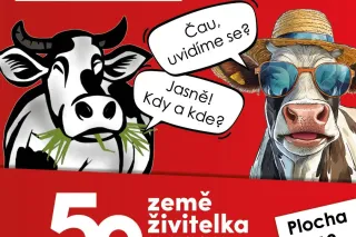 Pozvánka na výstavu Země živitelka s kreslenými kravami.