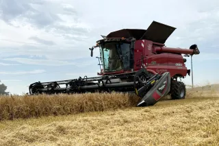 Sklízecí mlátička Case IH Axial-Flow 8250 na poli