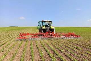 Traktor s prutovými branami SUKOV v poli