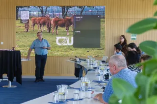 Řečník na tiskové konferenci před obrazovkou