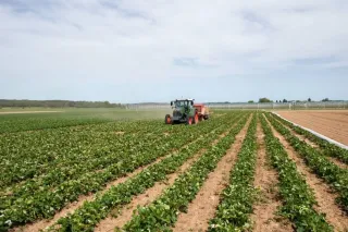 Traktor Fendt s lisem pracuje na poli