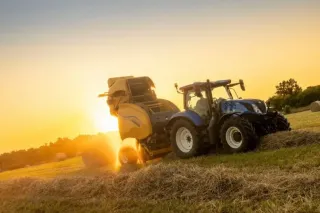 Lis New Holland na poli při západu slunce
