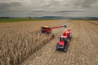 Kombajn Case IH plní přívěs při sklizni kukuřice