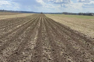 Pohled na řádky pole při technologii strip-till