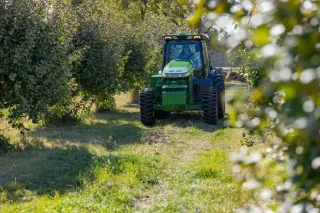 Zelený traktor John Deere v sadu