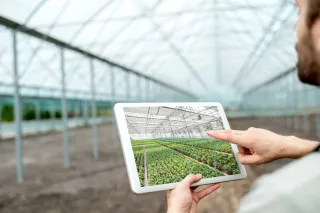 Skleník a tablet se zobrazenou fotografií