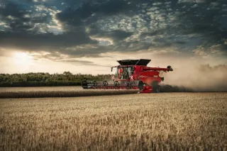 Červená sklízecí mlátička Case IH na poli