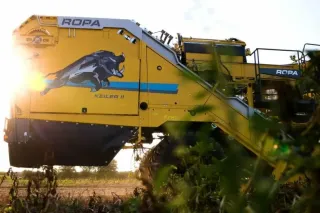 Detail žlutého vyorávače ROPA Keiler II