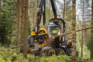 Žací hlavice lesního stroje Ponsse mezi stromy