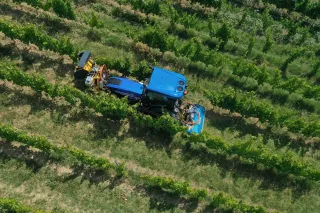 Modrý traktor při práci ve vinici